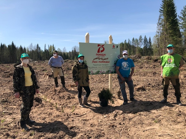 Фото: ГКУ «Чайковское лесничество»