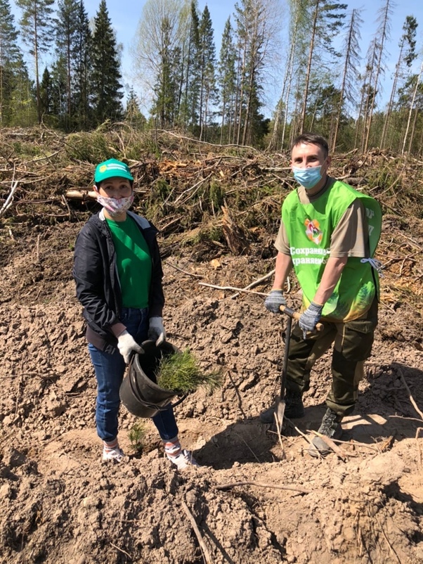 Фото: ГКУ «Чайковское лесничество»