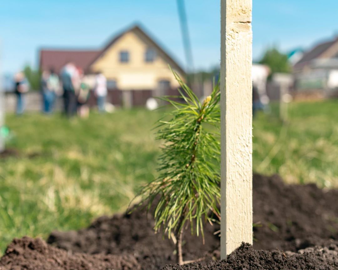 Фото: Инстаграм главы ЧГО Вострикова Ю.Г.
