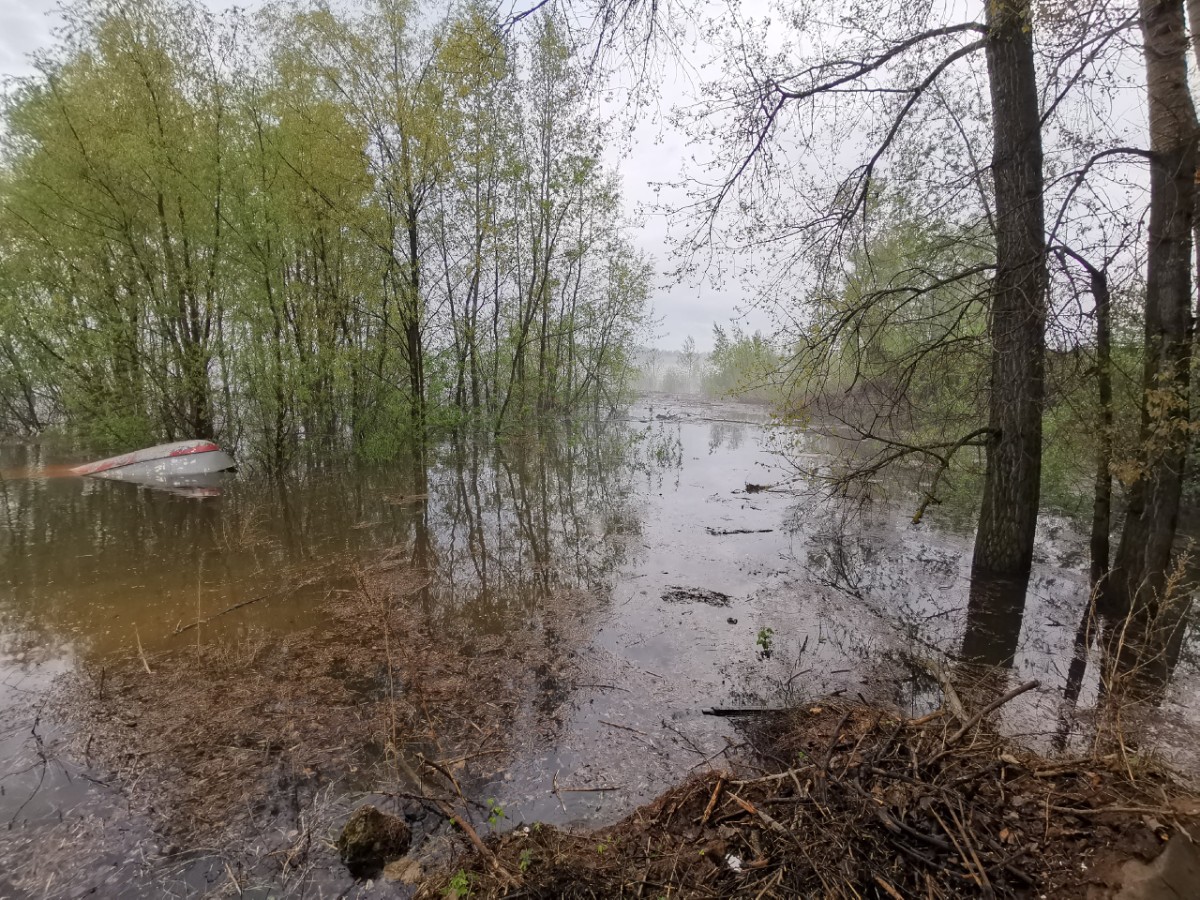 Микрорайон "Сайгатский". Фото: Елена Гильмутдинова